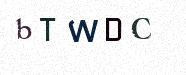 Visual Bestätigung Security Code