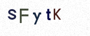Visual Bestätigung Security Code